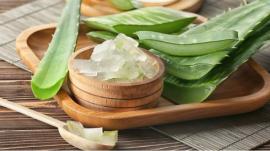 Làm đẹp từ nha đam và những sai lầm cần tránh