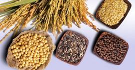 Tổng hợp những thực phẩm ít chất béo tốt cho sức khoẻ và làn da của bạn