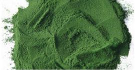 Hướng dẫn bạn chăm sóc da với bột diệp lục