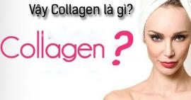 [GIẢI ĐÁP] Collagen là thành phần gì?
