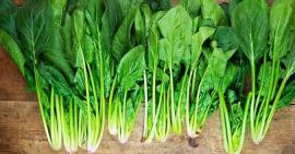 Điểm danh 10 loại rau giúp tóc mọc nhanh và dày hơn