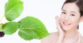 Hướng dẫn làm mặt nạ dâu tằm giúp da sáng mịn rạng ngời ở tuổi 40