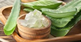 7 công dụng làm đẹp tuyệt vời của nha đam