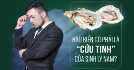 Tác dụng của hàu biển với sức khỏe sinh lý nam giới