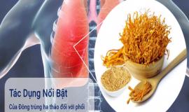 Đông trùng hạ thảo có tốt cho phổi không? Những cách dùng tốt nhất 