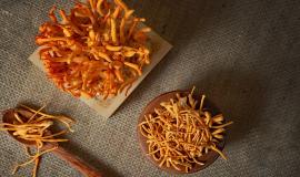 Cách chưng yến với đông trùng hạ thảo đơn giản, bổ dưỡng