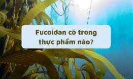 [ BẠN CÓ BIẾT] Fucoidan có trong thực phẩm nào?