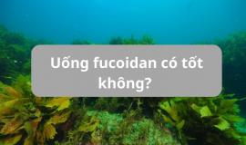 Uống fucoidan có tốt không? Khi nào nên uống Fucoidan?