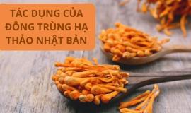 9 Tác Dụng Của Đông Trùng Hạ Thảo Và Cách Sử Dụng Hiệu Quả