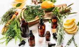 Mỹ phẩm thuần chay là gì - Mỹ phẩm thuần chay có tốt không?