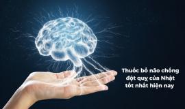 Thuốc bổ não chống đột quỵ của Nhật tốt nhất hiện nay  