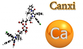 Canxi của Nhật loại nào tốt: Các loại Canxi của Nhật tốt nhất hiện nay