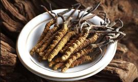 Ăn đông trùng hạ thảo như thế nào là đúng cách?