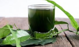 Người bị u xơ có uống tảo biển được không?