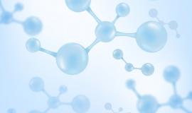 Collagen type II loại nào tốt nhất hiện nay?
