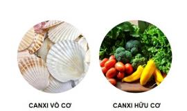 Nên Uống Canxi Hữu Cơ Hay Vô Cơ Tốt Hơn?