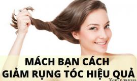 Những cách trị tóc rụng và kích thích mọc tóc tại nhà hiệu quả nhất