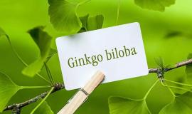 Huyết áp cao uống Ginkgo Biloba được không?