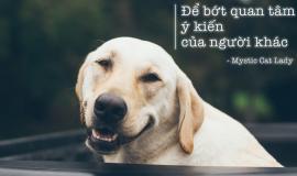 Cách để biết người khác nhìn mình như thế nào