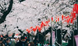 Khám phá các lễ hội truyền thống trong năm ở Nhật Bản
