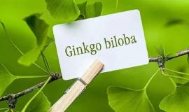 Thuốc bổ não Ginkgo Biloba giá bao nhiêu, mua ở đâu chính hãng?
