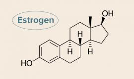 Phytoestrogen là gì, tác dụng của Phytoestrogen đối với nữ giới