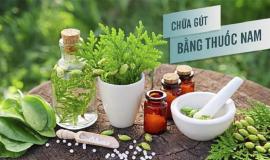 Những bài thuốc dân gian chữa bệnh Gút hiệu quả ngay tại nhà