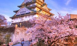 Các Mùa trong năm Xuân Hạ Thu Đông của Nhật bắt đầu từ tháng mấy đến tháng mấy?