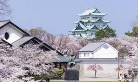 Tìm hiểu văn hóa Gốm Nagoya của Nhật có gì đặc biệt?