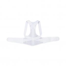 Đai lưng Unisex hỗ trợ lưng cột sống Zyplus Back Belt