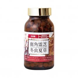 Đông trùng hạ thảo Ganoderma Kazuno Cordyceps 180 viên