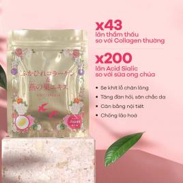 Viên uống Collagen tươi chiết xuất tổ yến Nhật Bản 30 viên