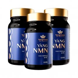 Combo 3 hộp viên uống chống lão hóa, tăng sức khỏe Yang NMN 60 viên