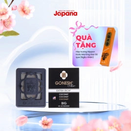 Gel thơm dùng trong ô tô dạng lớn Nippon Kodo Gonesh Air 180g (Hương dừa)