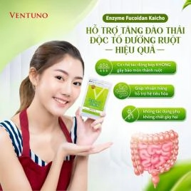 Viên uống hỗ trợ hệ tiêu hóa Ventuno Kaicho Herb Lactic Acid Bacteria - 248 viên