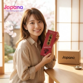 Hương Nippon Kodo Morning Star Lotus 200 que (Hương hoa sen)